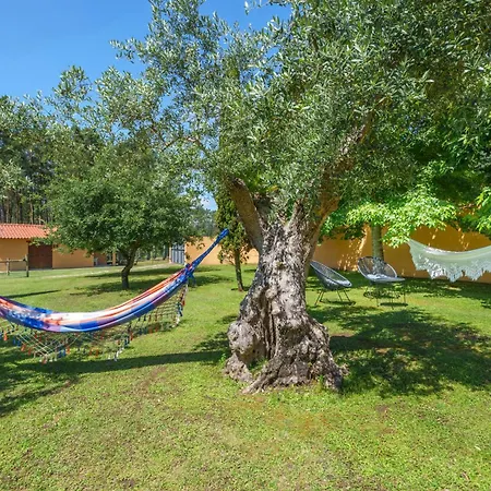 T1 Charme, Perto De 폼발