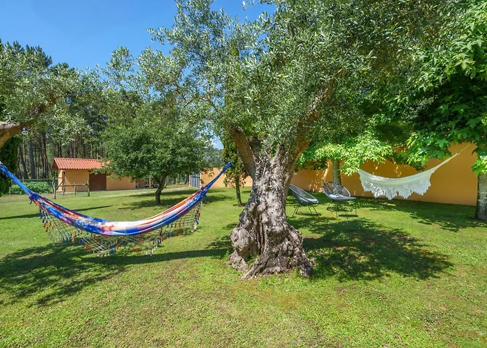 T1 Charme, Perto De Pombal (Leiria)